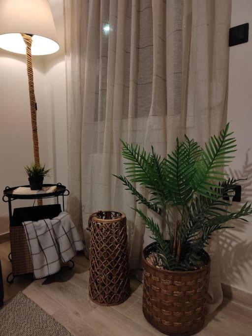 Cosy House With Garden Διαμέρισμα Βόλος Εξωτερικό φωτογραφία