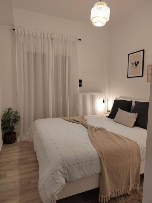 Cosy House With Garden Διαμέρισμα Βόλος Εξωτερικό φωτογραφία